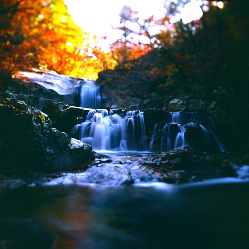 제목 없음-1스켄2.jpg : 몽환적풍경