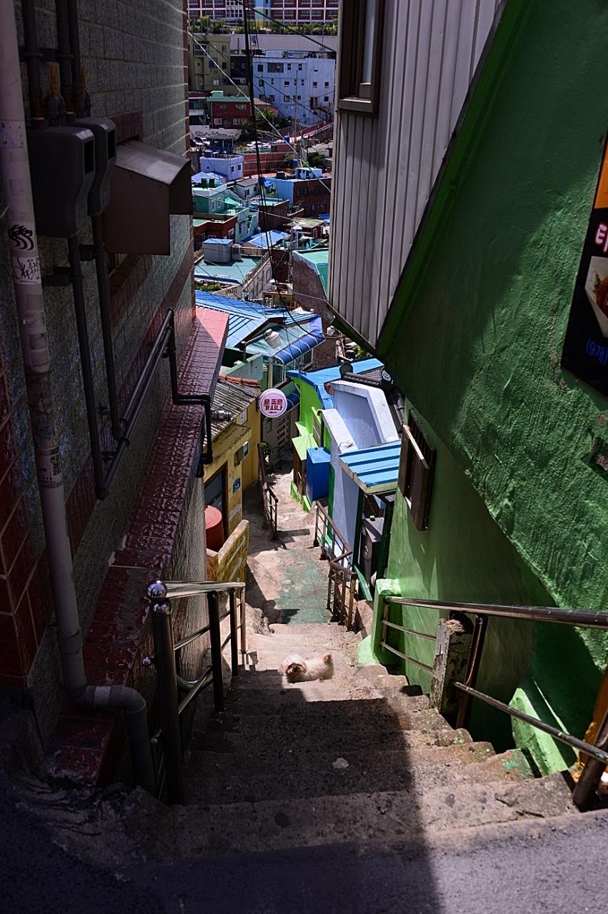 BandPhoto_8880720725.jpg : 부산 감천 문화마을