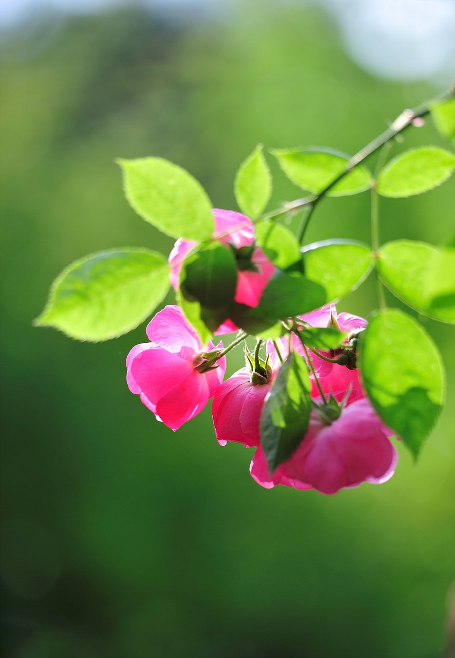 _DSC5550_00024.jpg : 6월 정모숙제 _DSC5550_00024.jpg : 6월 정모숙제