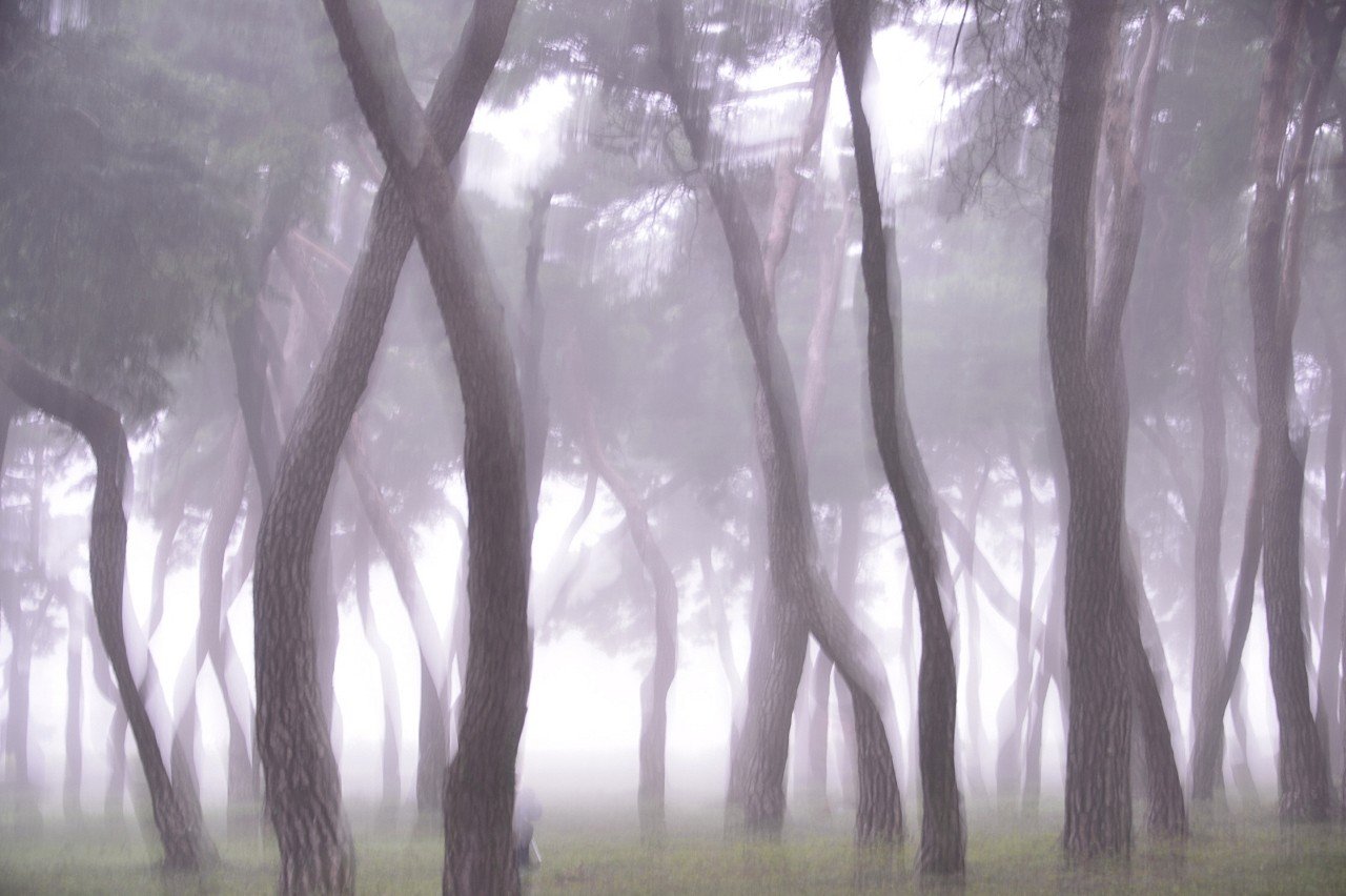 BandPhoto_10280905232.jpg : 임한리 아침