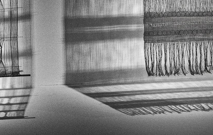 CE3A8311jpgresize.jpg : COVID 19