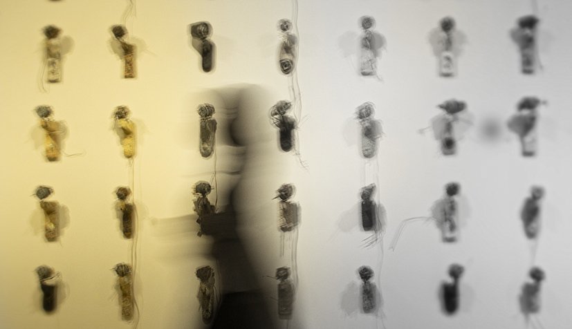 CE3A8333-1jpgresize.jpg : COVID 19