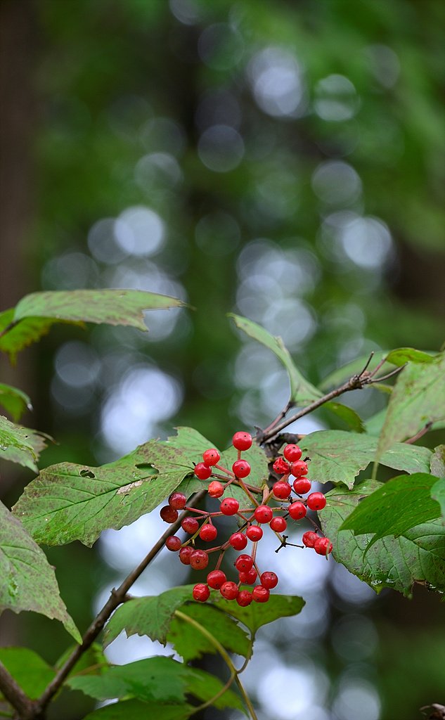 _DSC1225.jpg : 정모 숙제