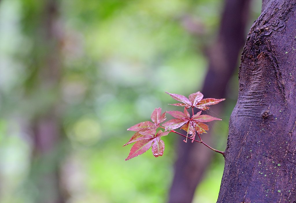 _DSC1177.jpg : 정모 숙제