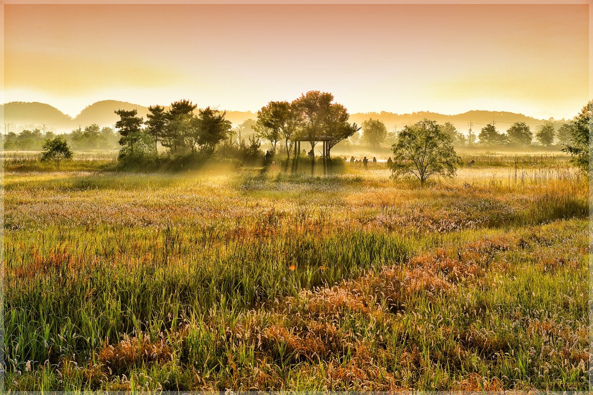 DSC_7924J12.jpg : 소래 소경 DSC_7924J12.jpg : 소래 소경