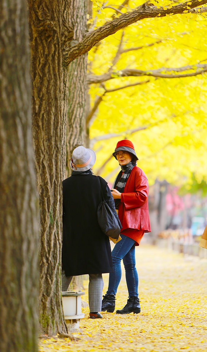 KJW_0567s.jpg : 남이섬에서