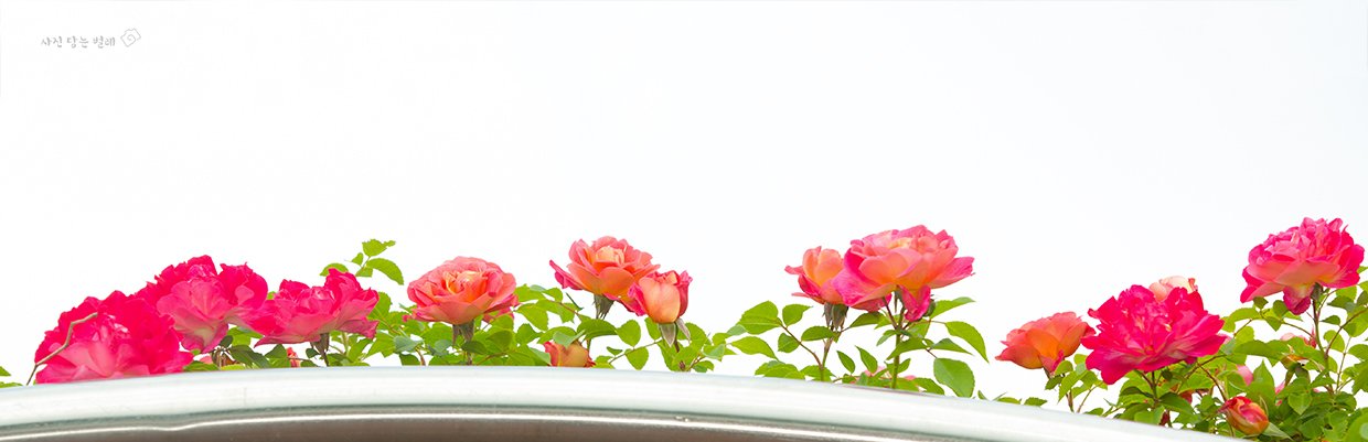 CE3A9909resize.jpg : 정모2