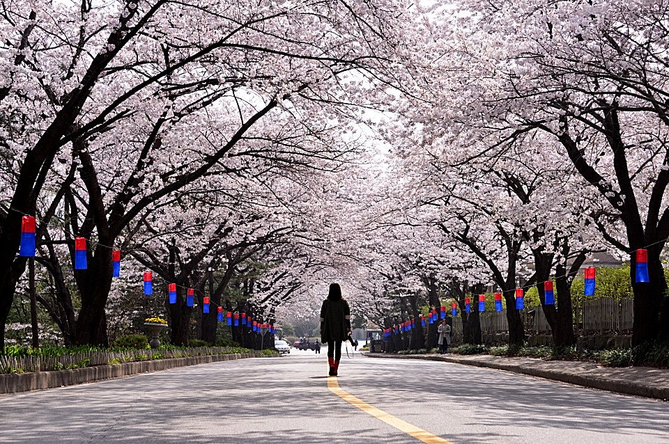 DSC_3310.JPG : 위험해요~~~