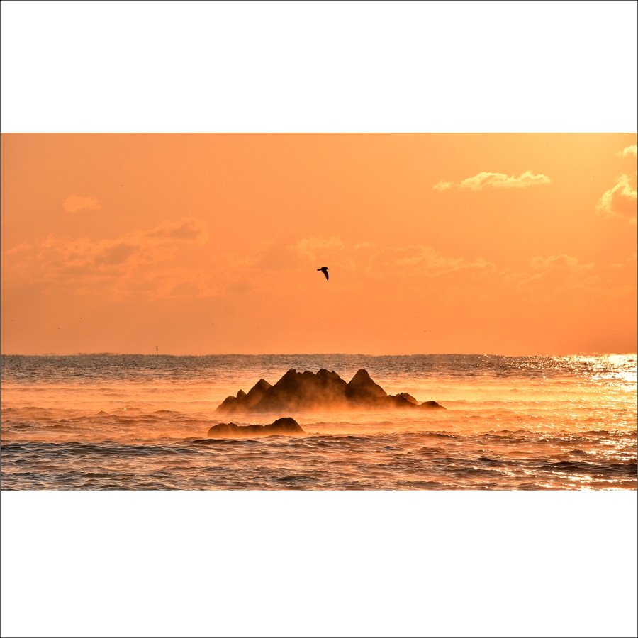 크기변환_DSC_9831.jpg : 문무대왕릉의 일출