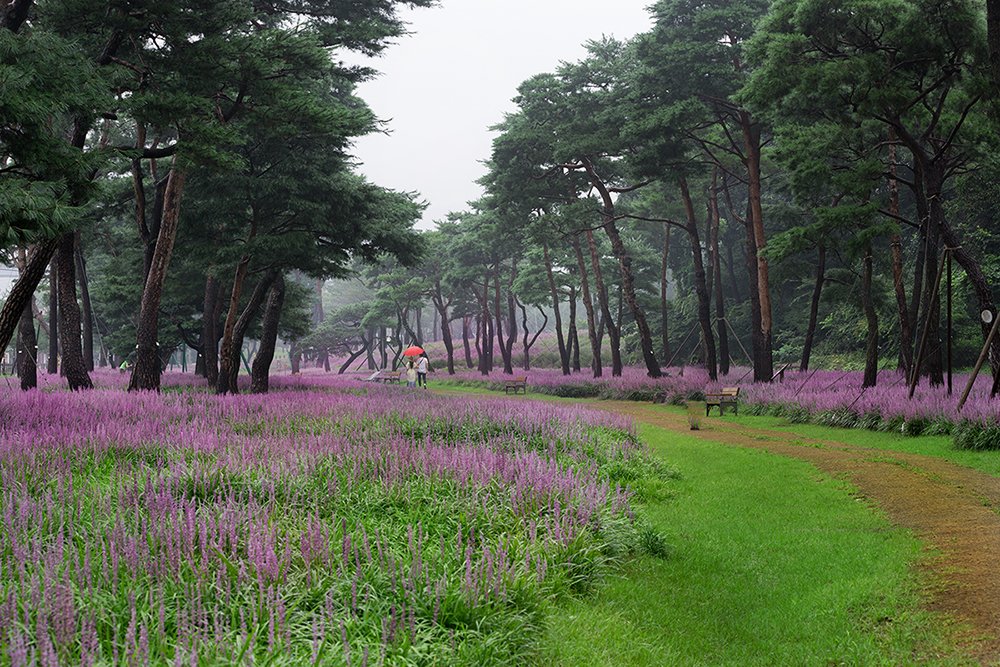 D55A0078-4.jpg : 풍경이 좋은곳