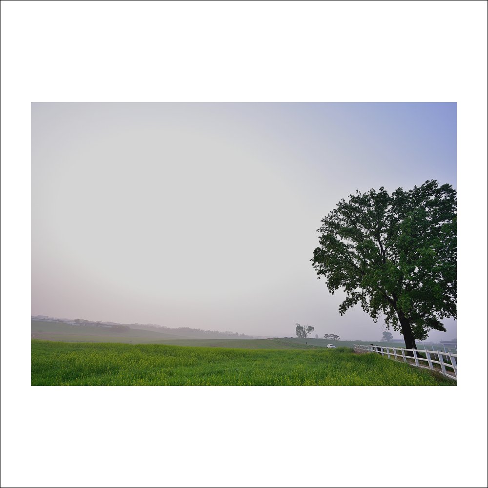 DSC_8222.jpg : 또 다른날에~ DSC_8222.jpg : 또 다른날에~