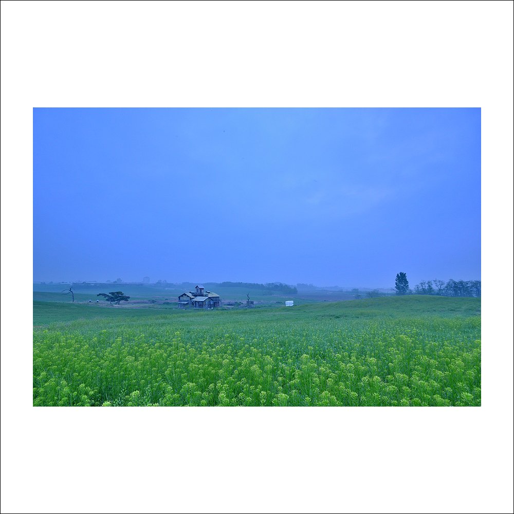 DSC_8134.jpg : 또 다른날에~ DSC_8134.jpg : 또 다른날에~