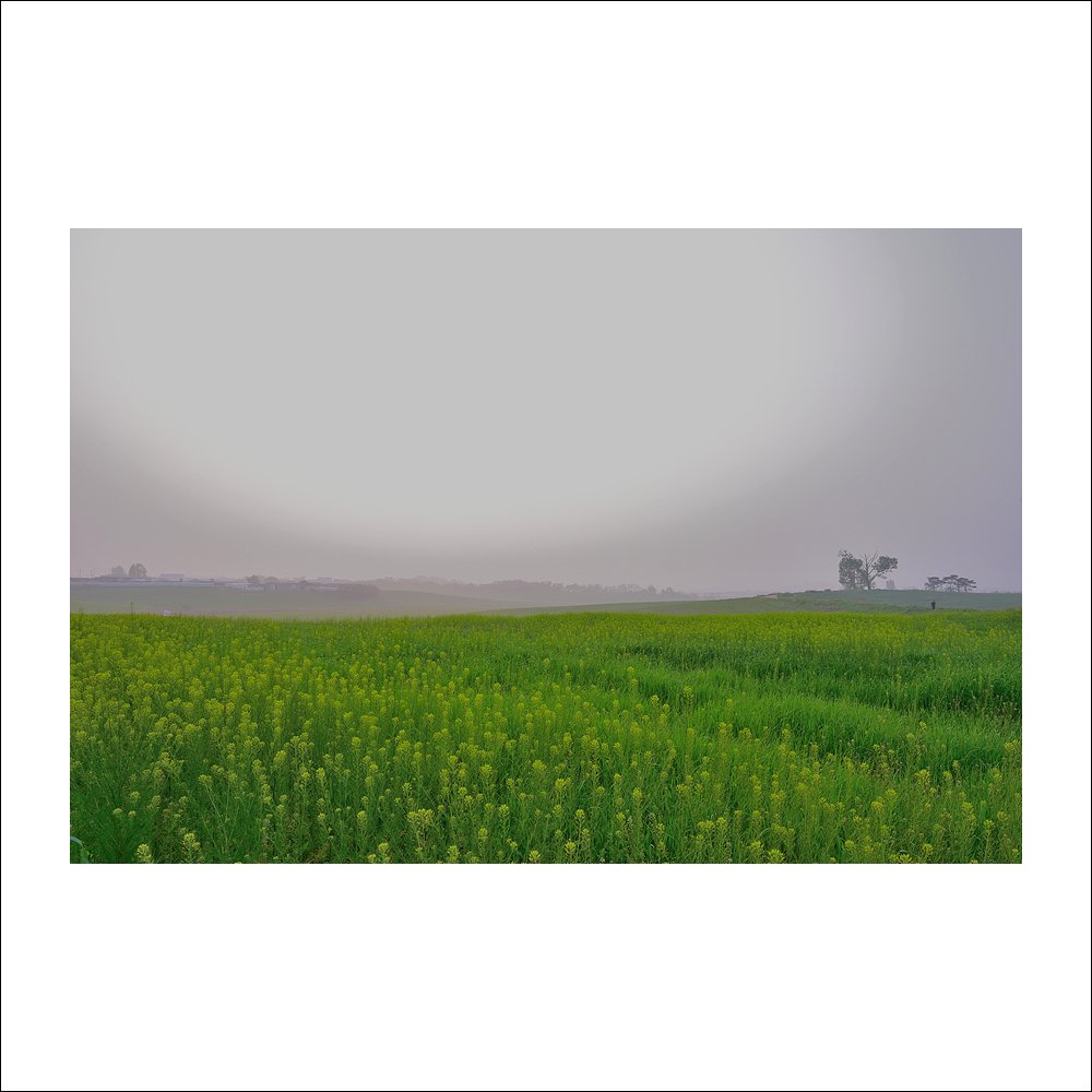 DSC_8224.jpg : 또 다른날에~ DSC_8224.jpg : 또 다른날에~