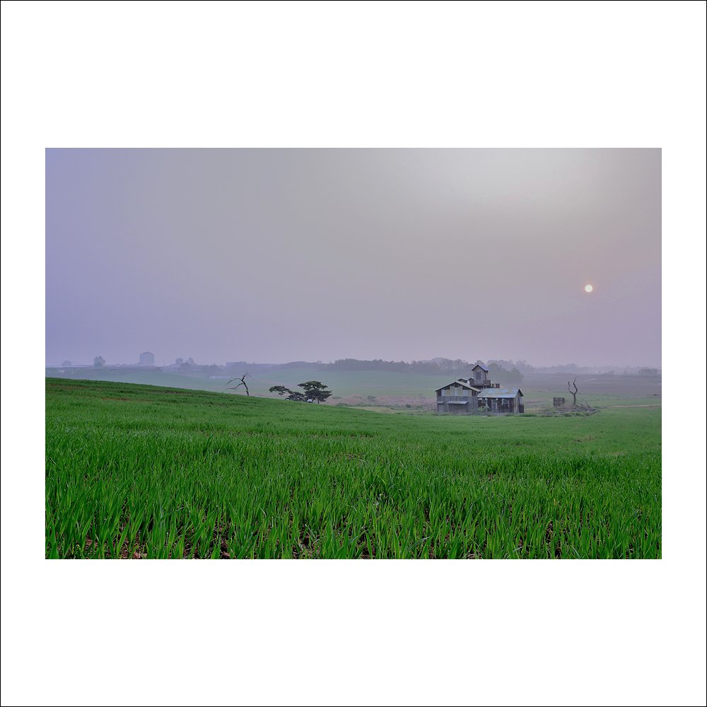 DSC_8182.jpg : 또 다른날에~ DSC_8182.jpg : 또 다른날에~