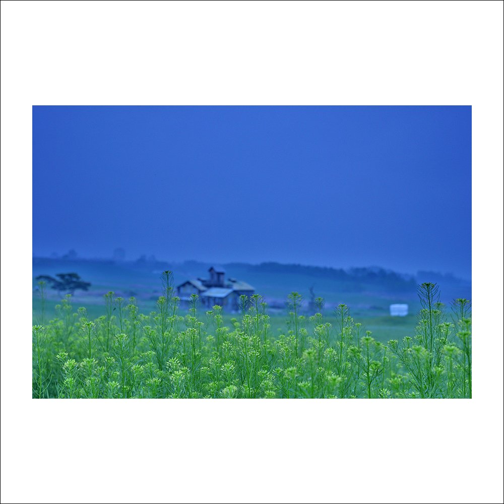 DSC_8131.jpg : 또 다른날에~ DSC_8131.jpg : 또 다른날에~