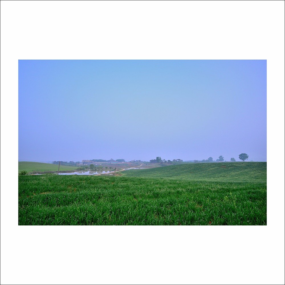 DSC_8191.jpg : 또 다른날에~ DSC_8191.jpg : 또 다른날에~