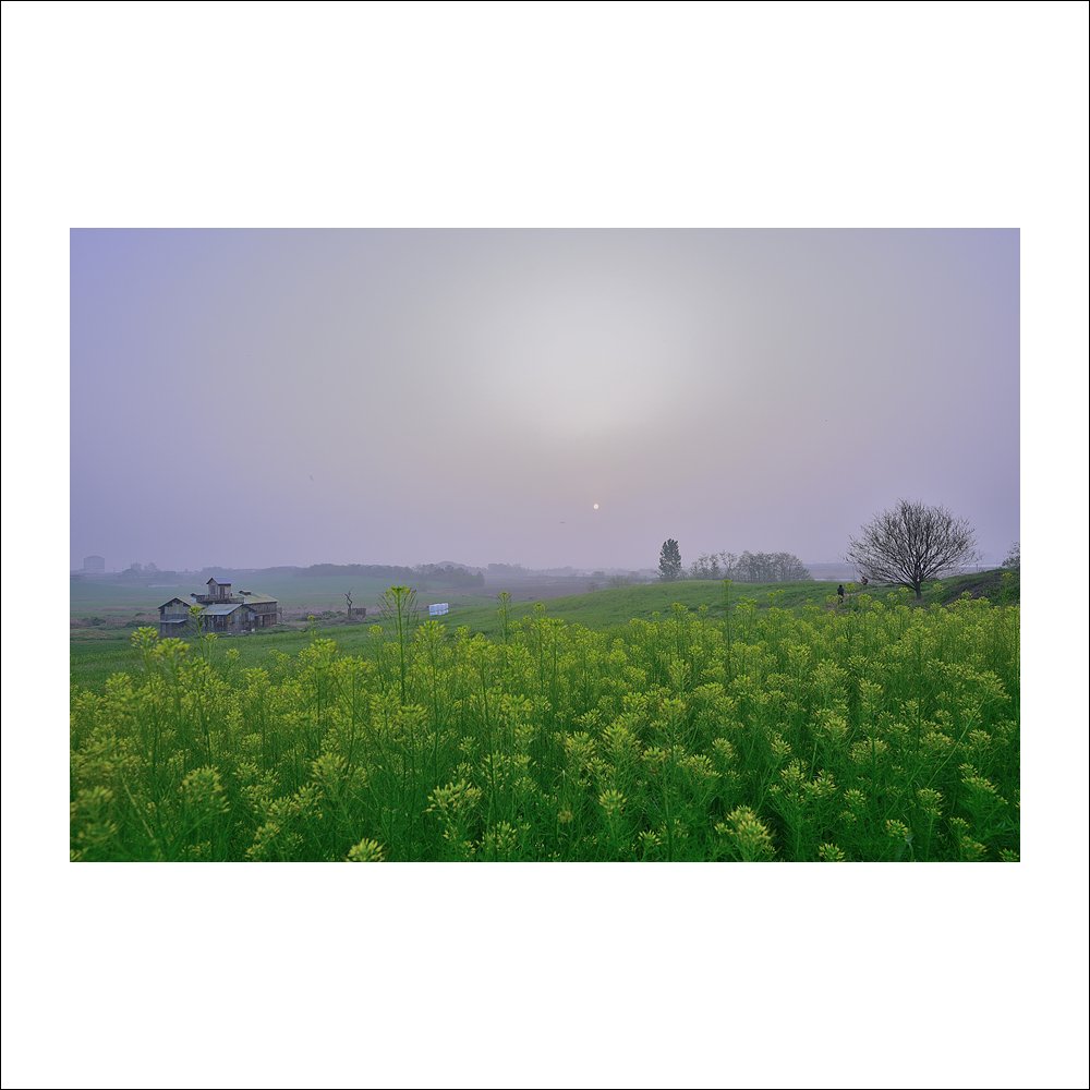 DSC_8175.jpg : 또 다른날에~ DSC_8175.jpg : 또 다른날에~