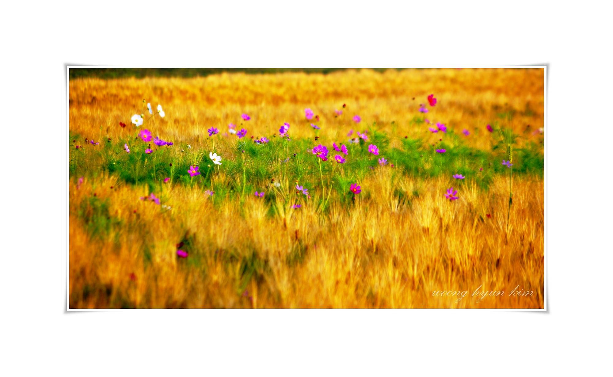 _G107619.JPG : 벙개숙제