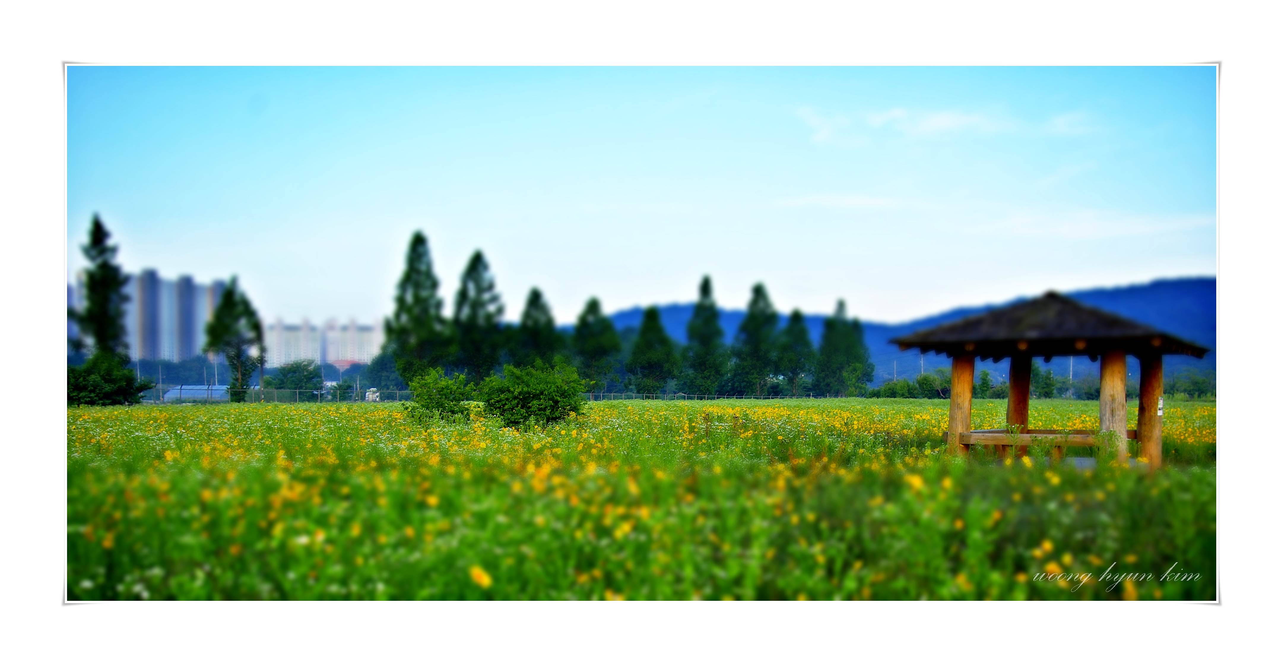 _G107632.JPG : 벙개숙제