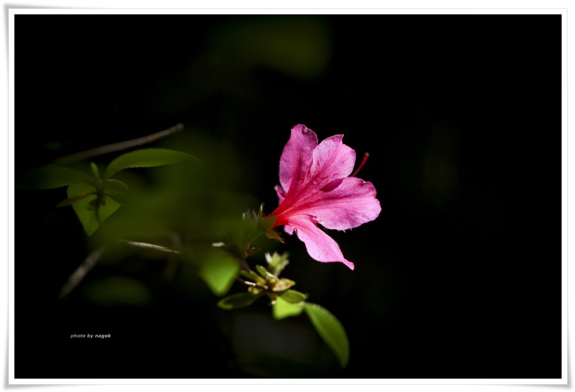 예현마을 073.jpg : 바람불던 날에..