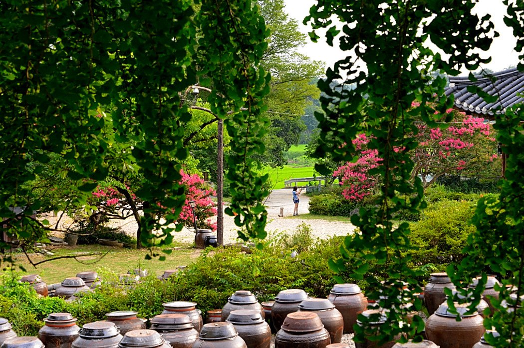 DSC_4288.JPG : 명재고택_백일홍