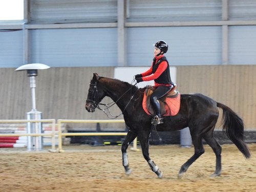 주인공 12456903 리사이즈.JPG : 승마