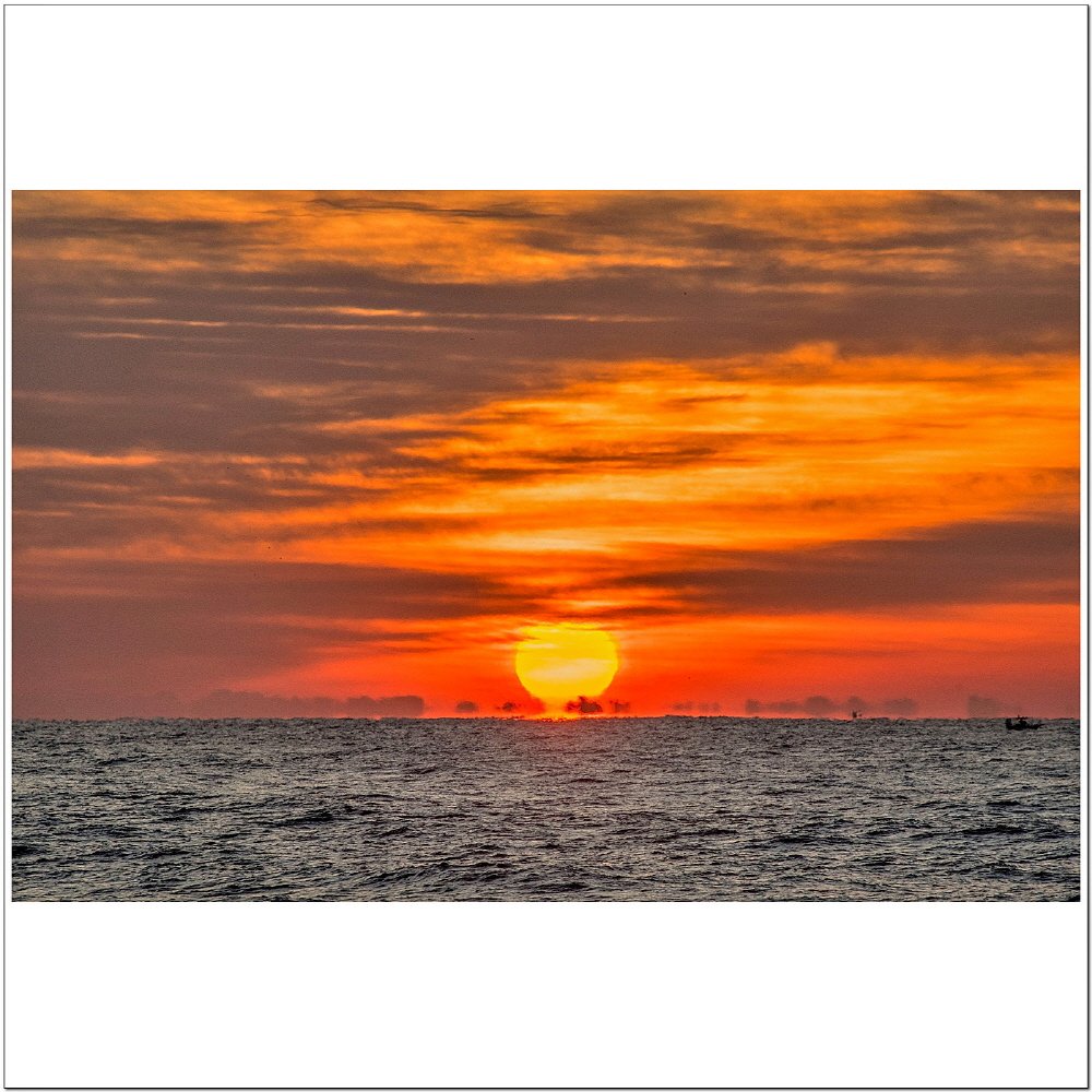 [크기변환]DSC_1379.jpg : 새해 福 많이 받으세요