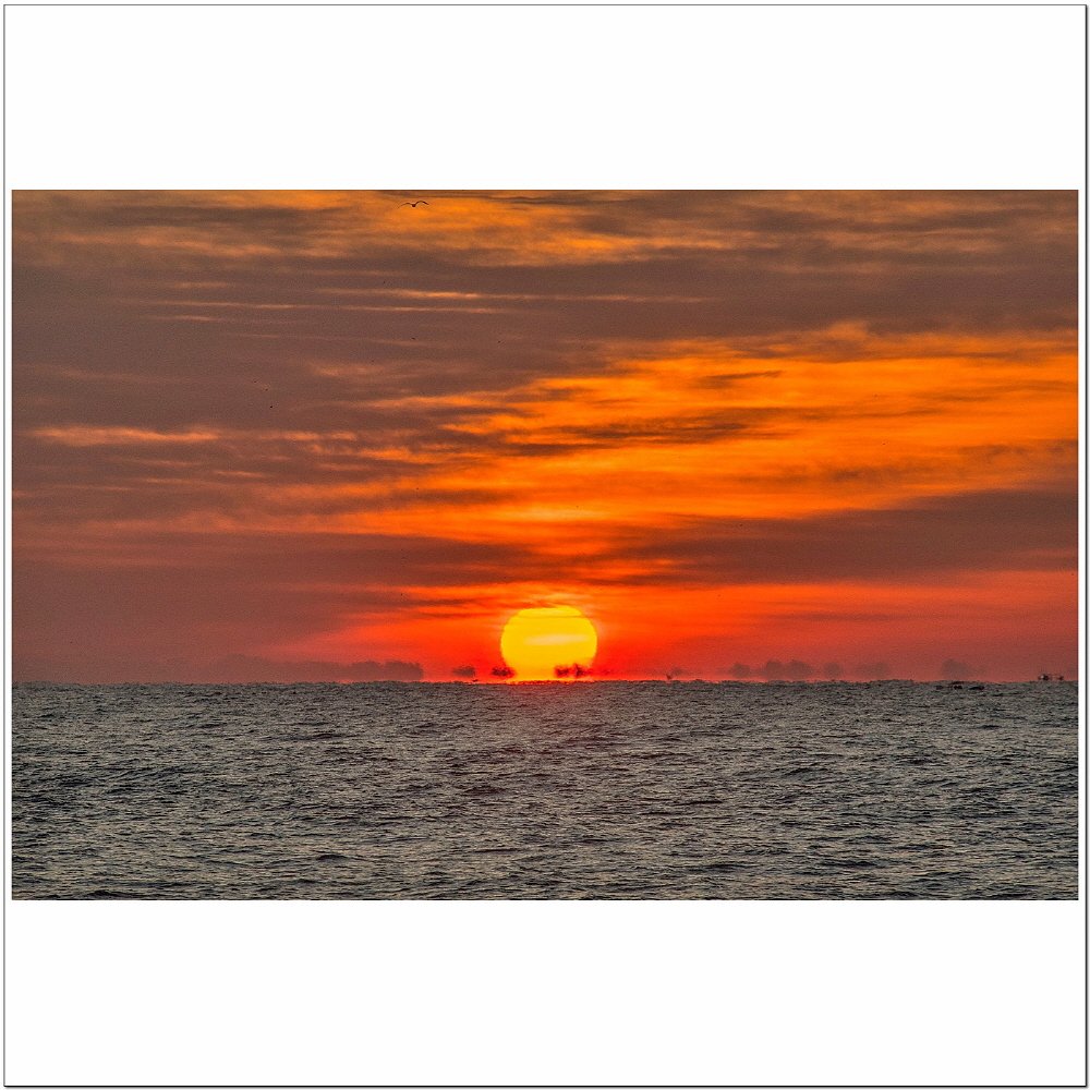 [크기변환]DSC_1373.jpg : 새해 福 많이 받으세요