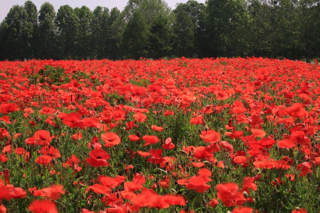 5K5A7421.JPG : 시민농장