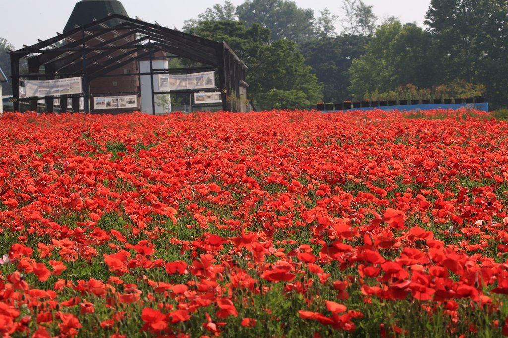 5K5A7373.JPG : 시민농장