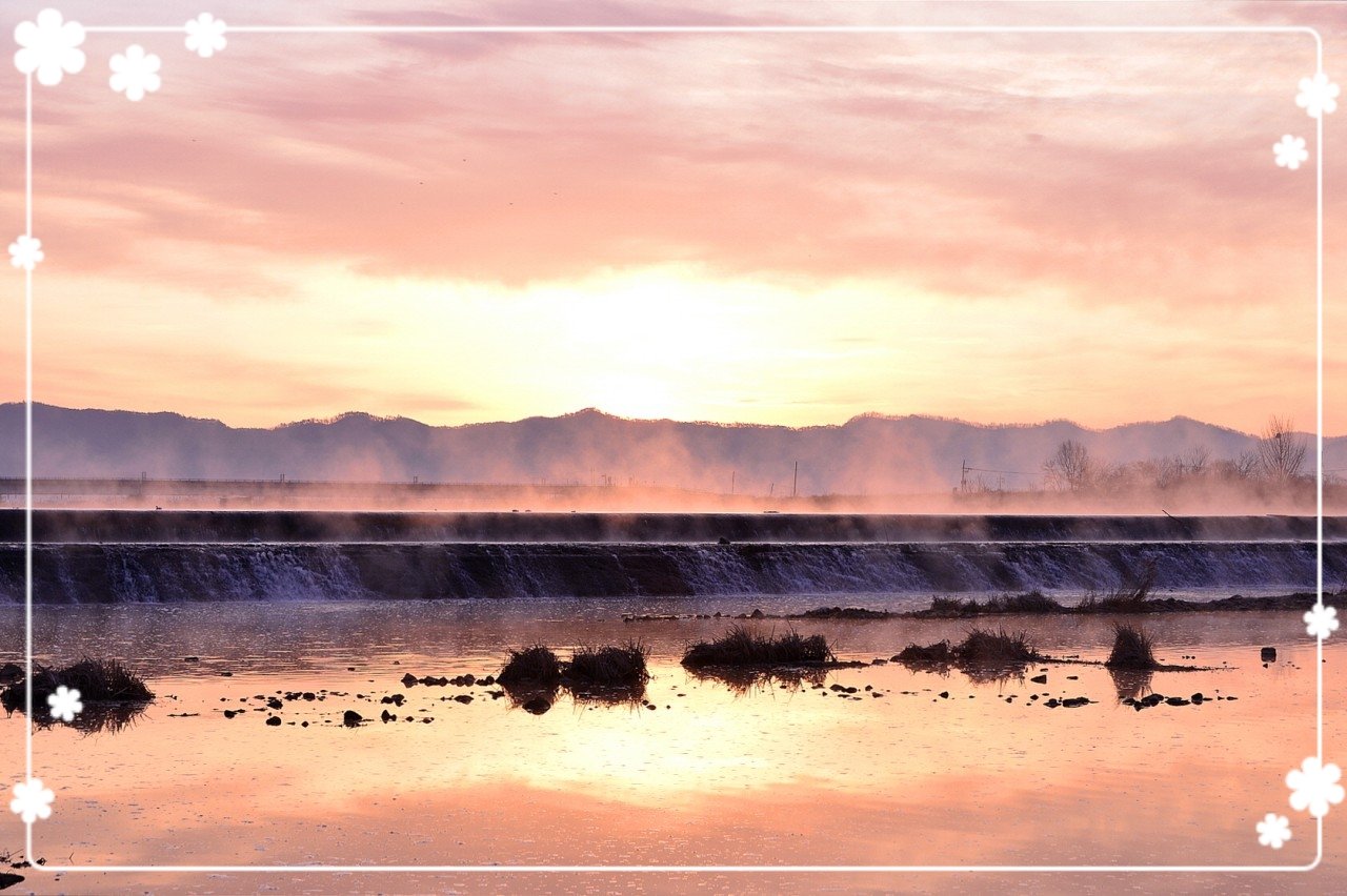 19-03-10-07-02-57-260_deco.jpg : 화순 어느 냇가에서