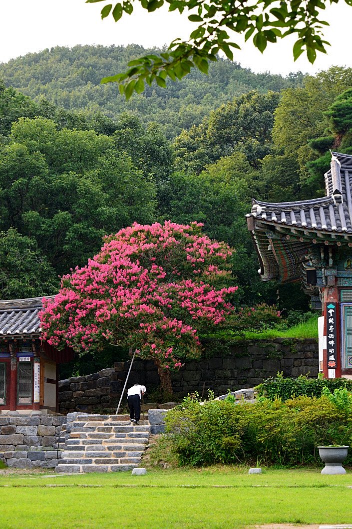 DSC_4391.JPG : 공주 신원사