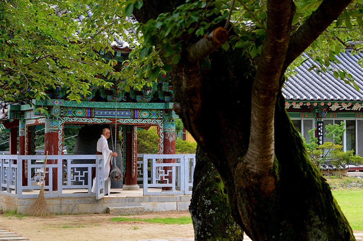 DSC_4371.JPG : 공주 신원사