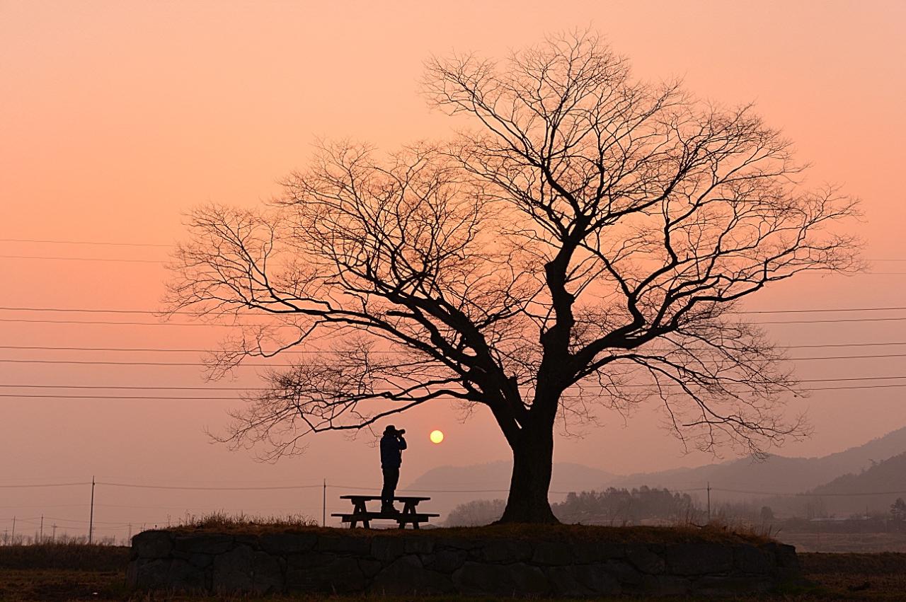 BandPhoto_5555140746.jpg : 사랑나무