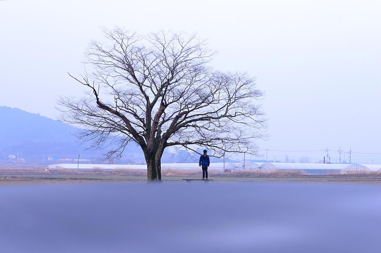 BandPhoto_5555140738.jpg : 사랑나무