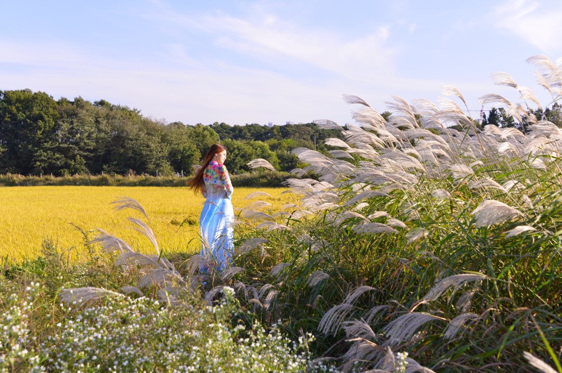 DSC_7234.JPG : 당수동의 가을