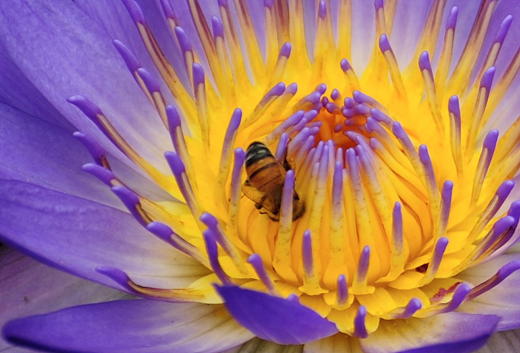 DSC_7511_00012.jpg : 정모를 기다리며