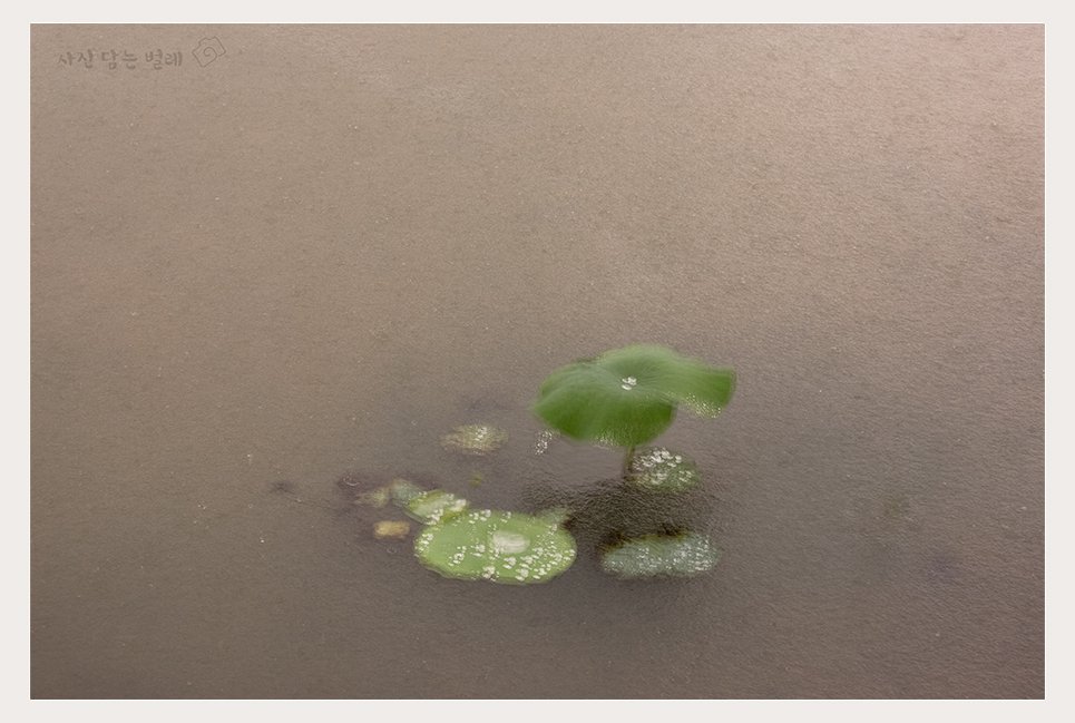 CE3A3914-2resize.jpg : 당수동 시민농장