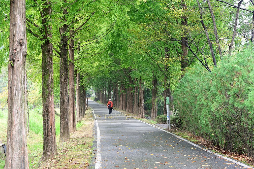 _DSC1188.jpg : 고독한 사진사