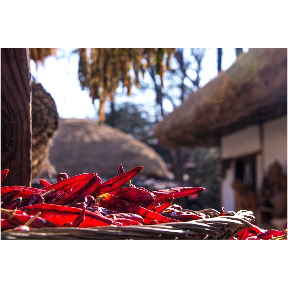 [R]DSC_3517.jpg : 민속촌에서