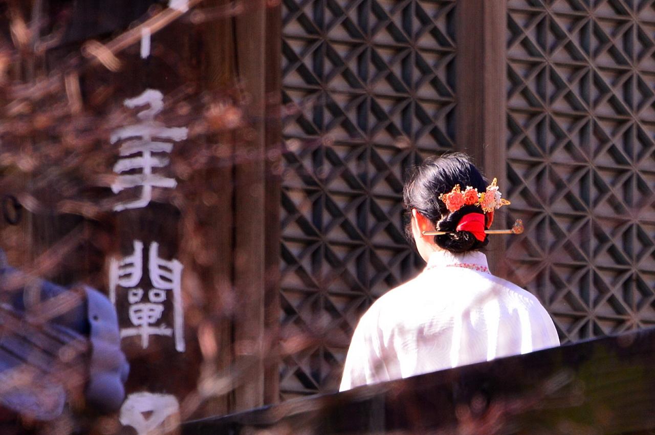 BandPhoto_5555148540.jpg : 빛이 좋은 화엄사에서