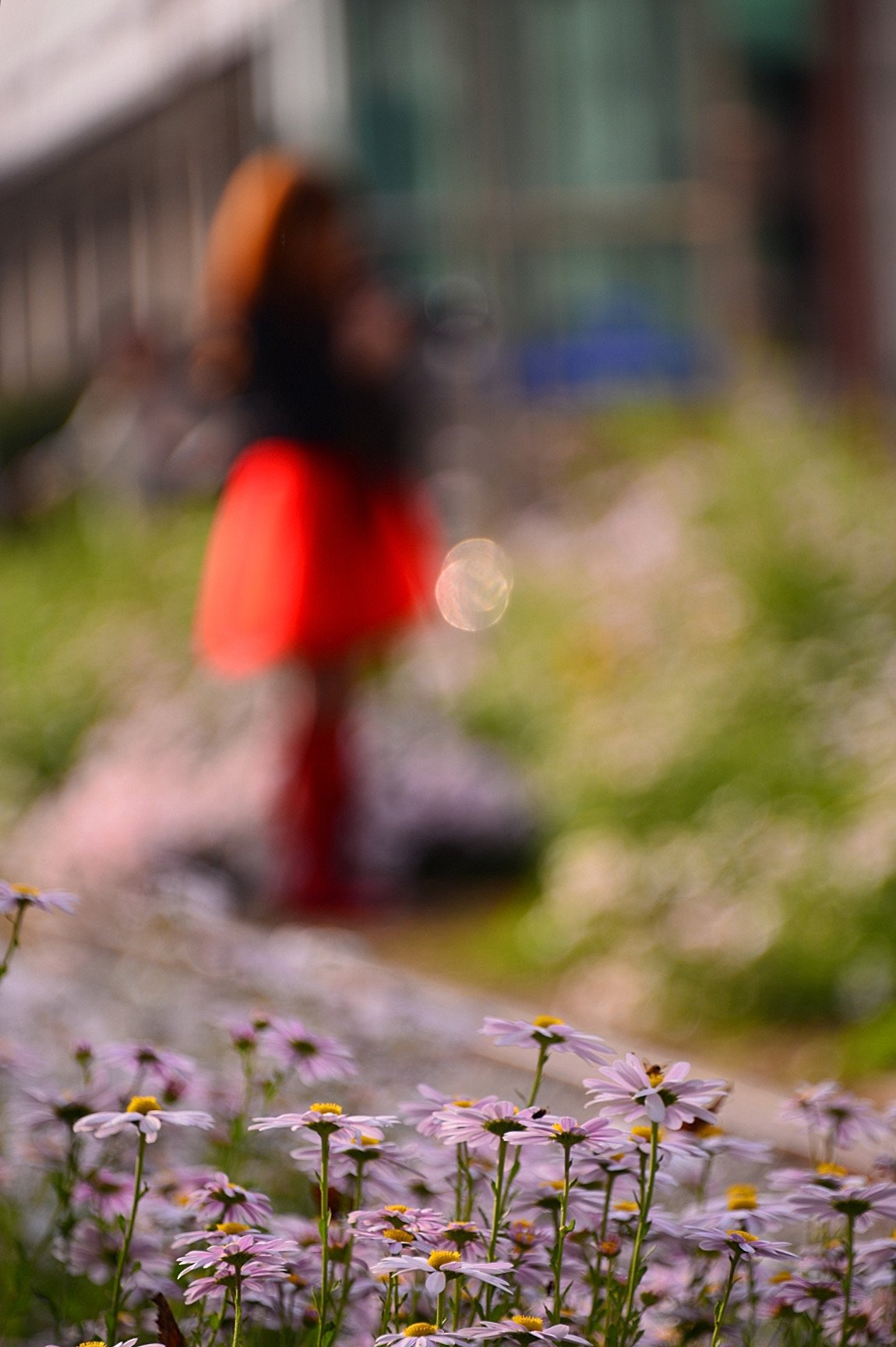 DSC_7621.JPG : 고잔역의 가을