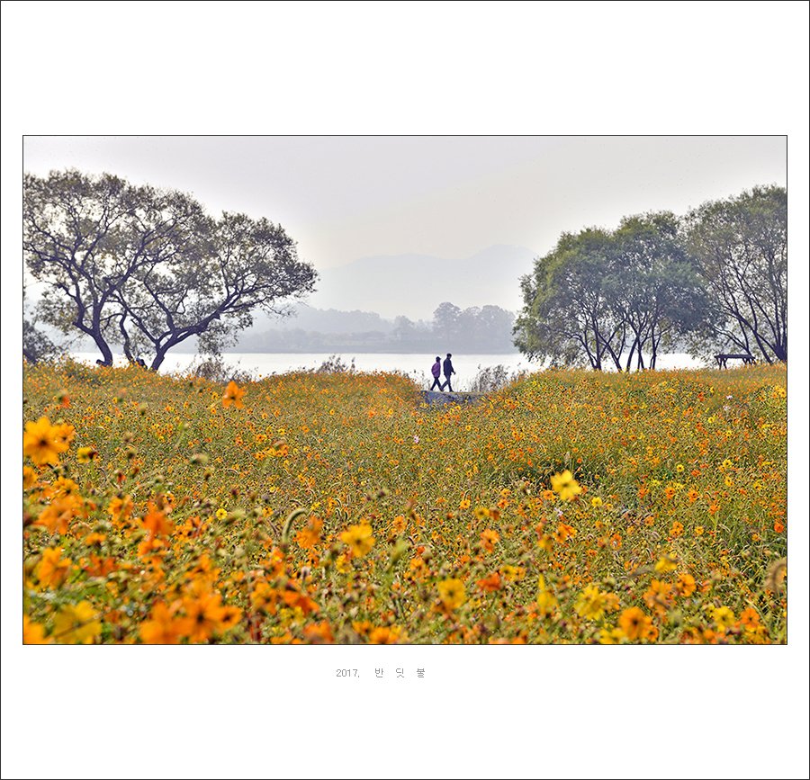 _DSC4229-1.jpg : 물의정원에서 .