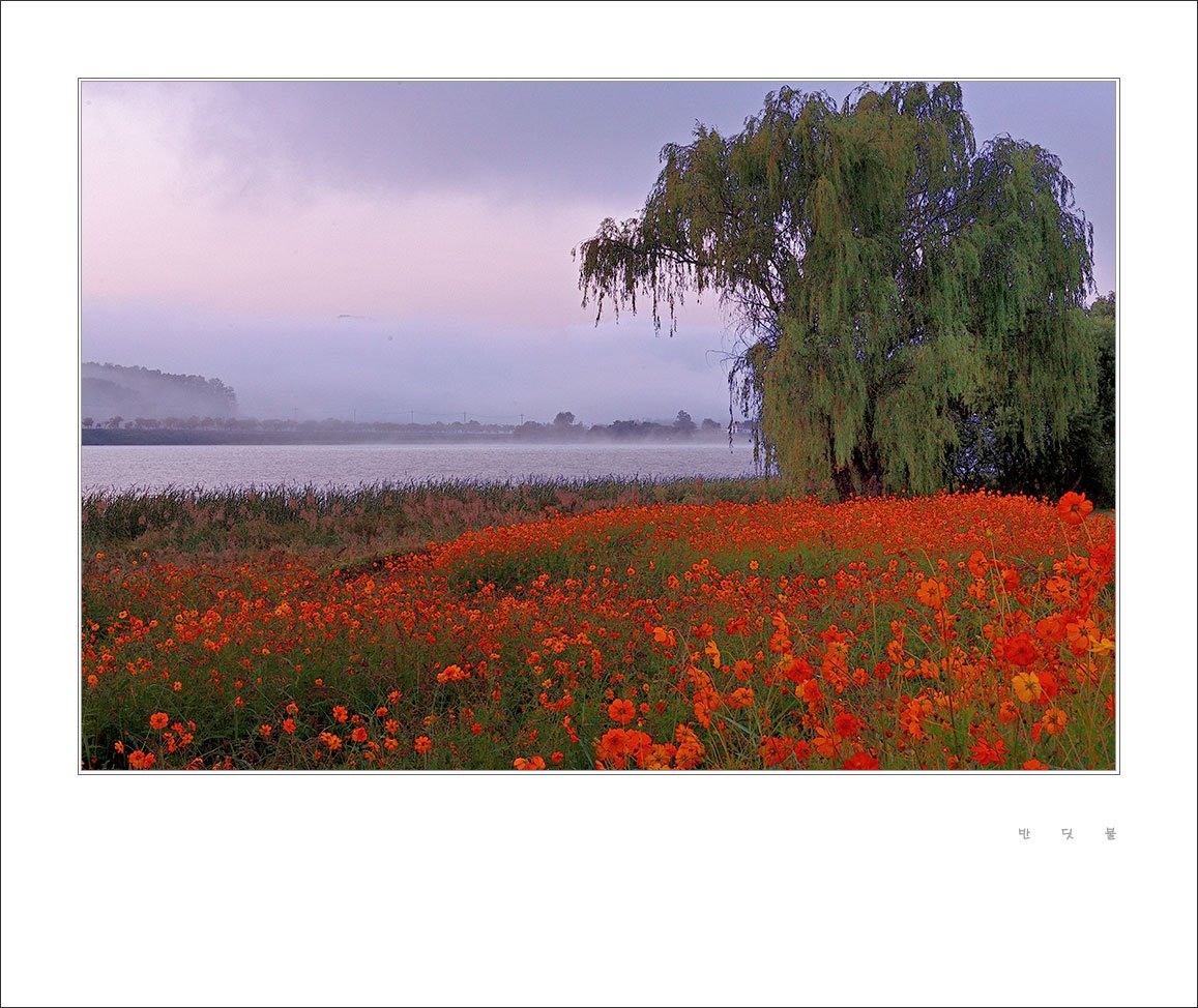 _DSC3196_611-1.jpg : 물의정원 _DSC3196_611-1.jpg : 물의정원