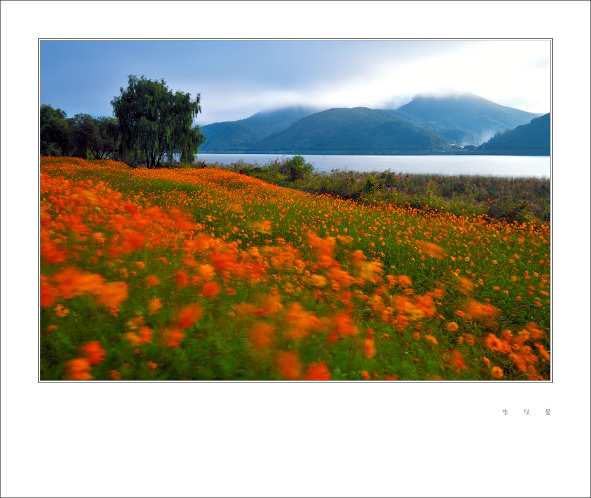 _DSC3304_608.jpg-1.jpg : 물의정원 _DSC3304_608.jpg-1.jpg : 물의정원