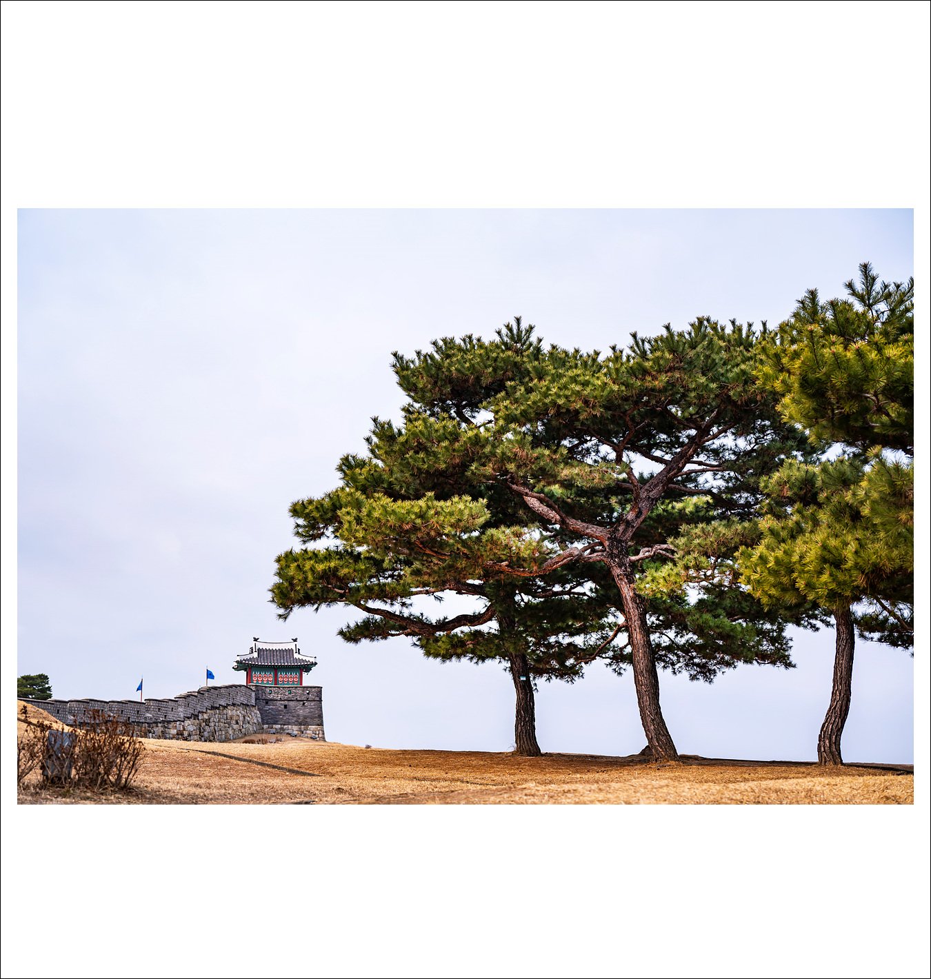 DSC_2171.jpg : ( 3/1 ) 화성의 봄