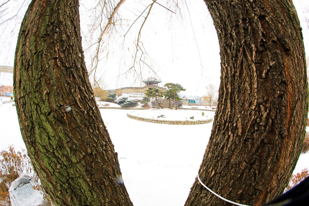 5K5A9925-20210118.jpg : 방화수류정설경