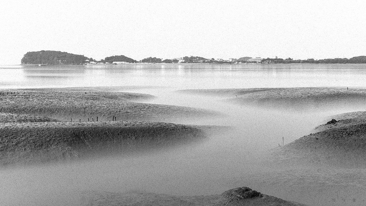 _DSC2025-1.jpg : 번개숙제