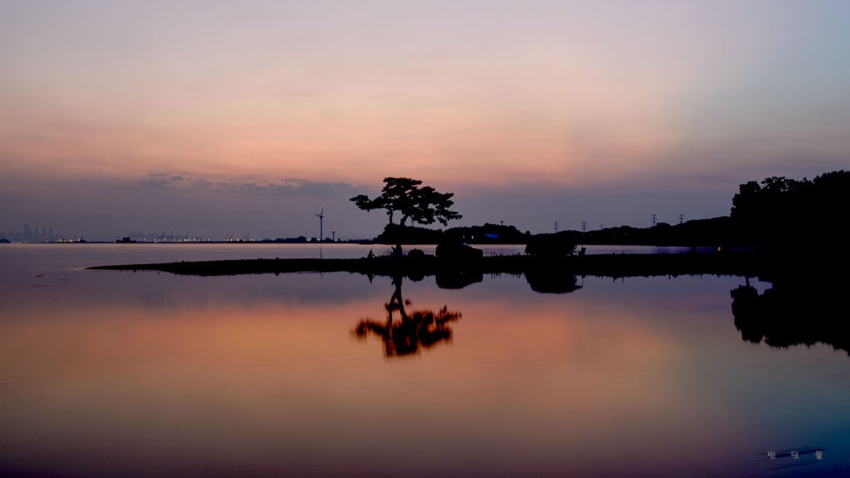 _DSC1967-1.jpg : 번개숙제