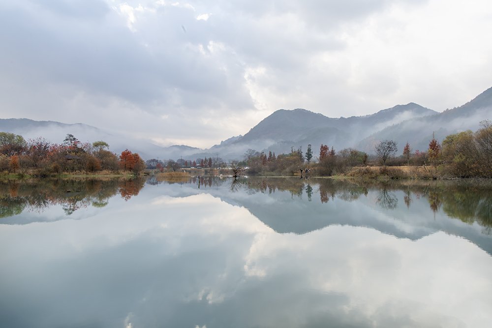 LMJ_5426.jpg : 가을이 가고 있네요.